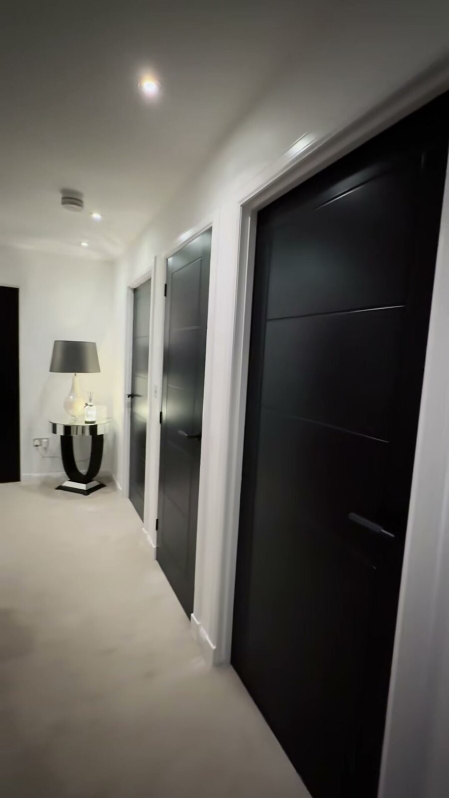 Black pre-painted ladder doors with all-black handles in a hall
